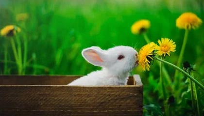 日土最新公积金提取中介联系微信方法分析(最方便真实的日土提取公积金的中介是如何操作的方法)